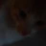 Mahochan