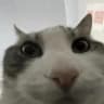 obfuscatedx