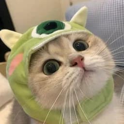 noxi