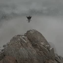 GiantD