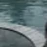 hiw2