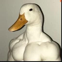 Elopez