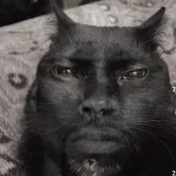 huntereyes7