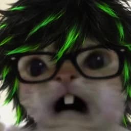 Quicks