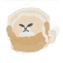 splun