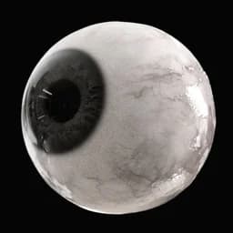 Cyclops