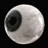 Cyclops
