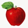 AppleExe