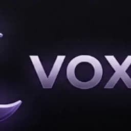 voxel