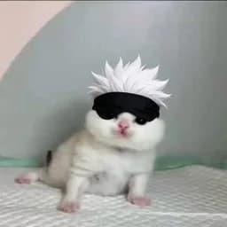 plhuhistr
