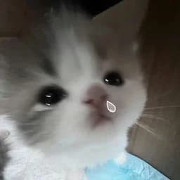 LUMITY