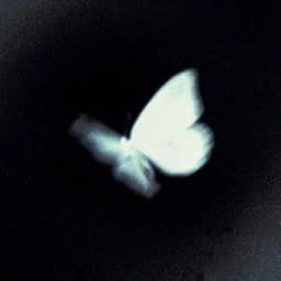 lxneira