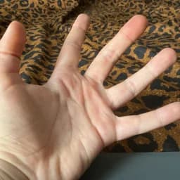 FingerStudiosScripts