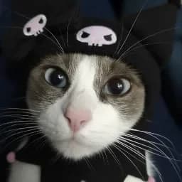 Miauuwacho
