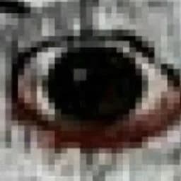 nnoorkk
