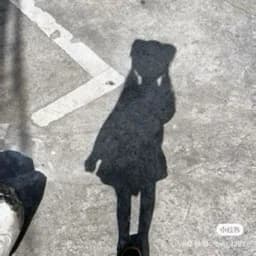 empty_summer72