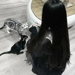 ember_cookie