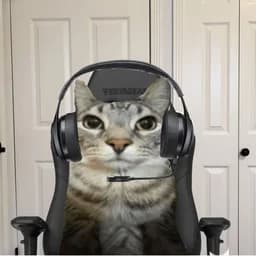 valen_gg