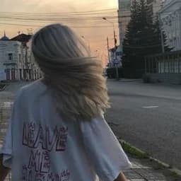 binarynova253