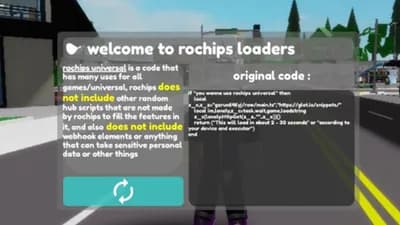 rochip original