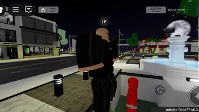 Brookhaven Fe Fat