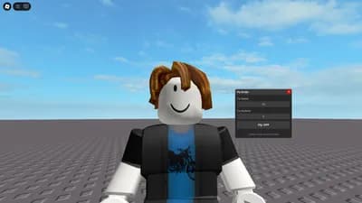 Fly script