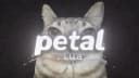 PETAL | FREE SOLARA XENO SUPPORT | INSTAKILL 