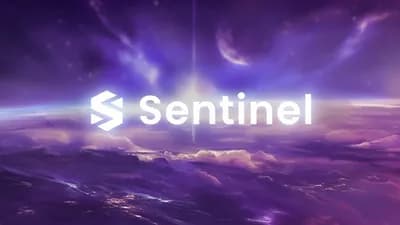 Sentinel Simple Script