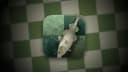 Chess Club | Play Best Moves