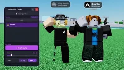 Onyx Animation Copier