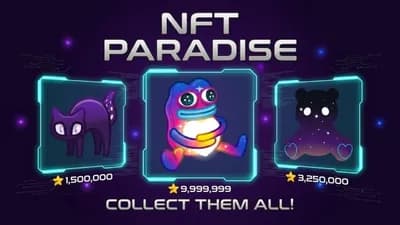NFT Paradise