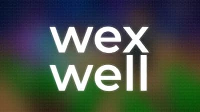 WexWell Silent aim, Rapid fire, Safe spot, Auto upgrade