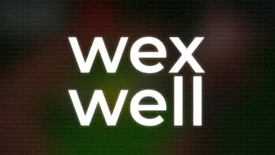 WexWell God mode, Kill aura, Tree aura, Bring all, And more!