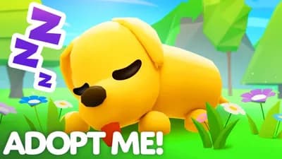 ADOPT MEEE PET SPANWERRRR!!!!