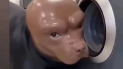 Sticky head