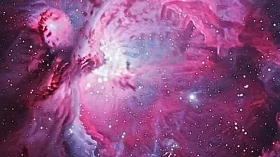 Nebula hub (shutting down)