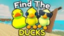FIND THE DUCKS / COLLECT ALL DUCKS (NO KEY)