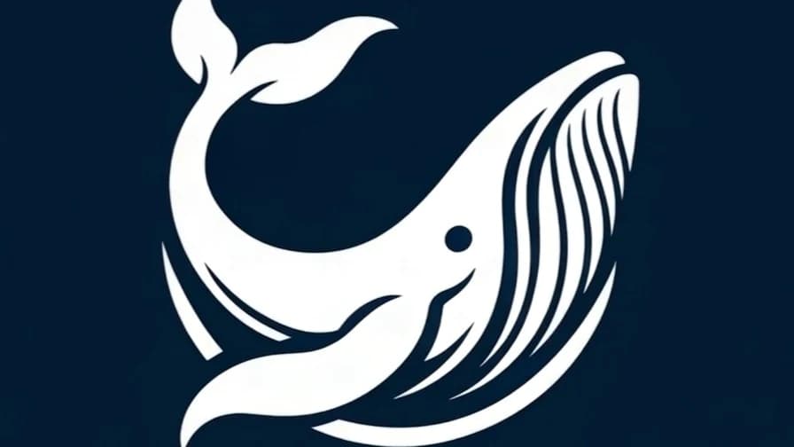 Orca.gg Practical