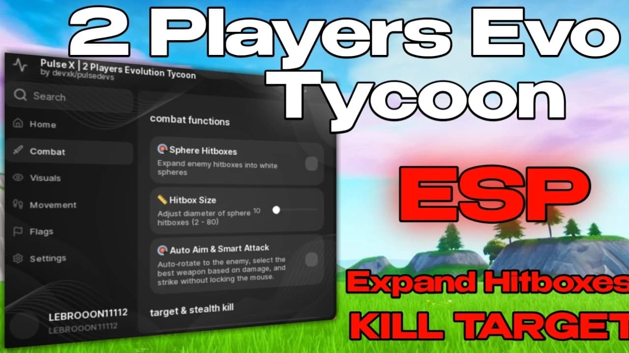 Auto KIll, Hitboxes, Esp, Auto flags, manual flag steal bst