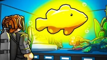 Get any fish