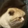 Ehe