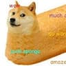 SwagDoge