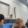 casi