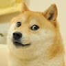 TheCanadianDoge
