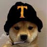 TIDOG