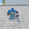 fsdw