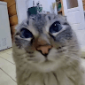 GiggleMcFartius