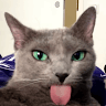 AzozAlotaib