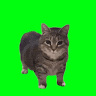 Ben_bb