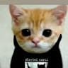 MrMeowal